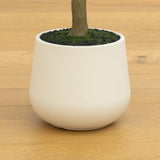5’ Artificial Olive Tree in White Decorative Planter