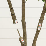 5’ Artificial Olive Tree in White Decorative Planter
