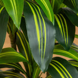5' Artificial Real Touch Dracaena in Decorative Planter