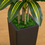 5' Artificial Real Touch Dracaena in Decorative Planter