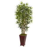 5’ Bamboo Tree in Decorative Planter