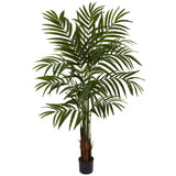 5’' Big Palm Tree