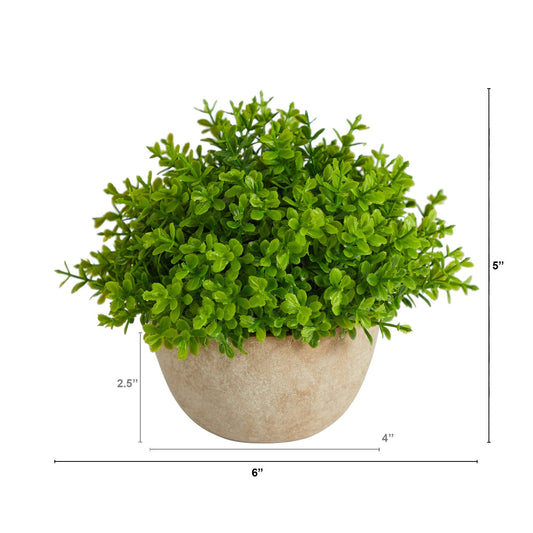 5” Boxwood Artificial Plant in Decorative Planter
