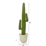 5’ Cactus Artificial Plant in Decorative Urn