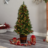 5' Colorado Aspen Pre-Lit Porch Artificial Christmas Tree
