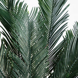 5’ Cycas Tree UV Resistant (In-door/Out-Door)