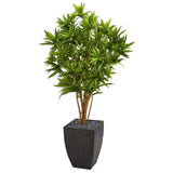 5' Dracaena Artificial Tree in Black Planter