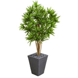 5' Dracaena Artificial Tree in Slate Finished Planter