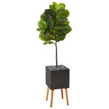 5’ Fiddle Leaf Artificial Tree in Black Planter with Stand (Real Touch)