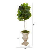 5’ Fiddle Leaf Artificial Tree in Sand Finished Urn (Real Touch)