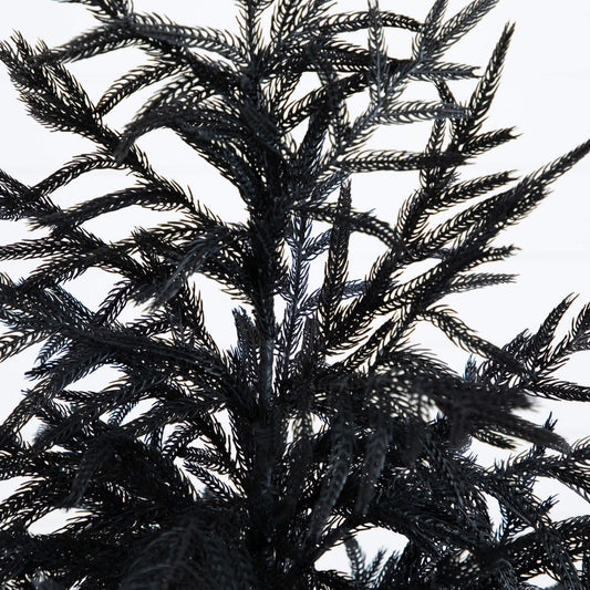 5' Artificial Halloween Real Touch Black Norfolk Pine Christmas Tree with Natural Look
