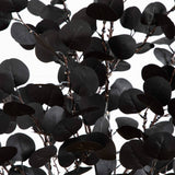 5' Pre-Lit Artificial Halloween Black Eucalyptus Tree with 220 Orange & Purple LED Lights