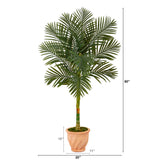 5’ Golden Cane Artificial Palm Tree in Terra-Cotta Planter