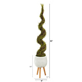 5’ Mohlenbechia Spiral Artificial Tree in White Planter with Stand