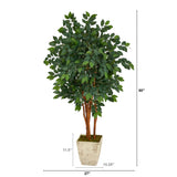 5’ Sakaki Artificial Tree in Country White Planter
