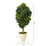 5' Schefflera Artificial Tree in Decorative Urn (Real Touch)