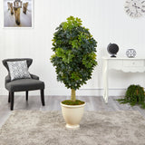 5' Schefflera Artificial Tree in Decorative Urn (Real Touch)