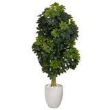5' Schefflera Artificial Tree in White Planter (Real Touch)
