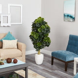 5' Schefflera Artificial Tree in White Planter (Real Touch)