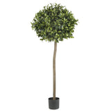 5' Sweet Bay Ball Topiary Silk Tree