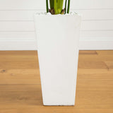 5’ Traveler's Palm Artificial Tree in Tall White Planter