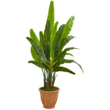 5’ Traveler's Palm Artificial Tree in Terra Cotta Planter