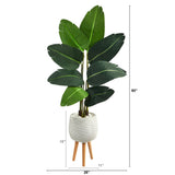 5’ Traveler's Palm Artificial Tree in White Planter with Stand