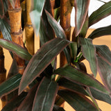 5' Yucca Artificial Tree