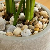 50” Traveler's Palm Artificial Tree in Sand-Colored Planter