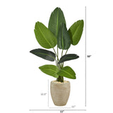 50” Traveler's Palm Artificial Tree in Sand-Colored Planter