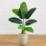 50” Traveler's Palm Artificial Tree in Sand-Colored Planter