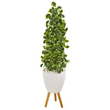 51” Variegated Holly Leaf Artificial Tree in White Planter with Stand (Real Touch)