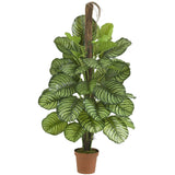 52" Calathea Silk Plant (Real Touch)"