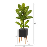 52” Dieffenbachia Artificial Plant in Black Planter with Stand (Real Touch)