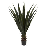 52” Giant Agave Plant