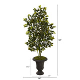 53” Ficus Artificial Tree in Charcoal Urn