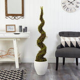 54” Mohlenbechia Spiral Artificial Tree in White Planter