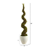 54” Mohlenbechia Spiral Artificial Tree in White Planter