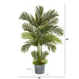 5.5' Areca Palm Artificial Tree in Embossed Black Tin Planter