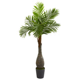 5.5’ Hyophorbe Areca Palm Artificial Tree