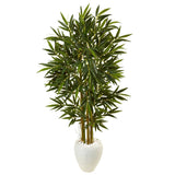 5.5’ Bamboo Tree in White Oval Planter