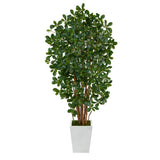 5.5’ Black Olive Artificial Tree with 1365 Bendable Leaves in Metal White Planter