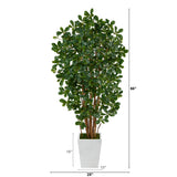 5.5’ Black Olive Artificial Tree with 1365 Bendable Leaves in Metal White Planter