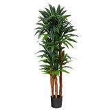 5.5’ Dracaena Artificial Tree with Natural Cane Trunk