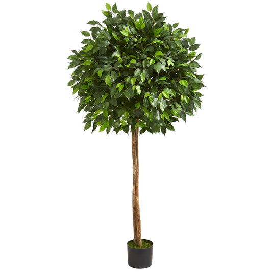 5.5’ Artificial Ficus Tree Two Trunks