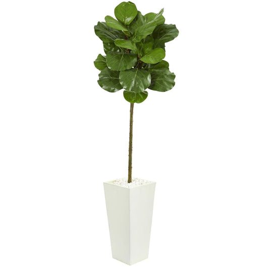 5.5’ Fiddle Leaf Artificial Tree in White Tower Planter
