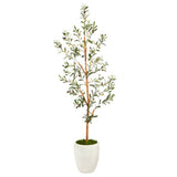 5.5’ Olive Artificial Tree in White Planter