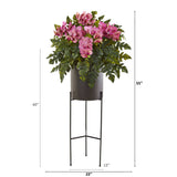 55” Phalaenopsis Orchid, Holly Fern Plant in Black Planter