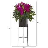 55” Phalaenopsis Orchid, Holly Fern Plant in Black Planter
