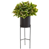 55” Rubber Leaf Artificial Plant in Black Planter with Stand (Real Touch)
